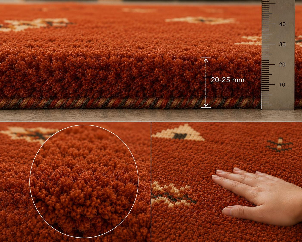 Hand-Knotted Gabbeh Wool Rug – Persian Tribal Thick Pile Rug, Terracotta/Rust