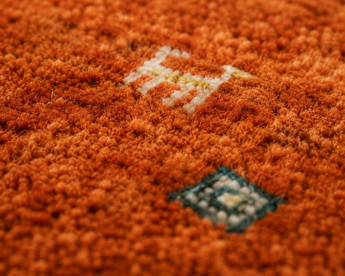 Hand-Knotted Gabbeh Wool Rug – Persian Tribal Thick Pile Rug, Terracotta/Rust Orange